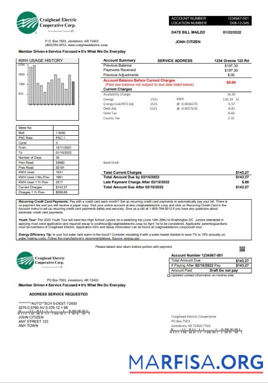 Printable USA Craighead Electric utility bill template in Word and PDF format